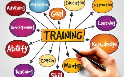 Formation : Comment se former efficacement pour réussir dans sa carrière ?